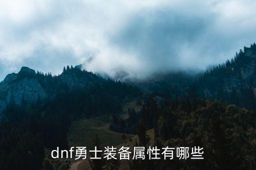 dnf勇士装备属性有哪些