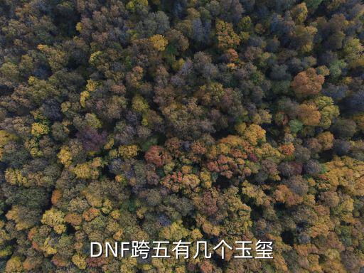 DNF跨五有几个玉玺