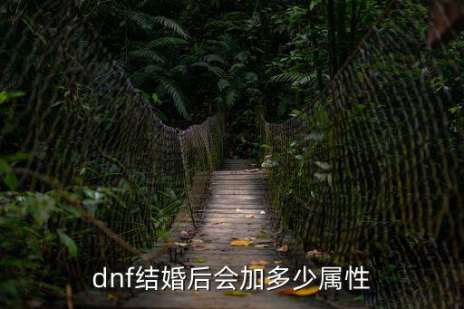 dnf喜糖加什么属性，dnf结婚后会加多少属性