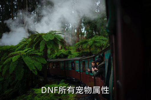 DNF所有宠物属性