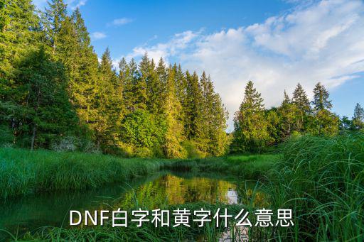 DNF白字和黄字什么意思