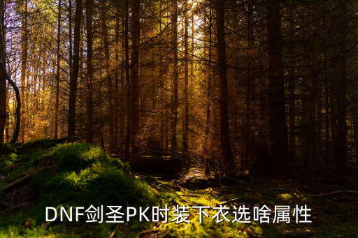 DNF剑圣PK时装下衣选啥属性