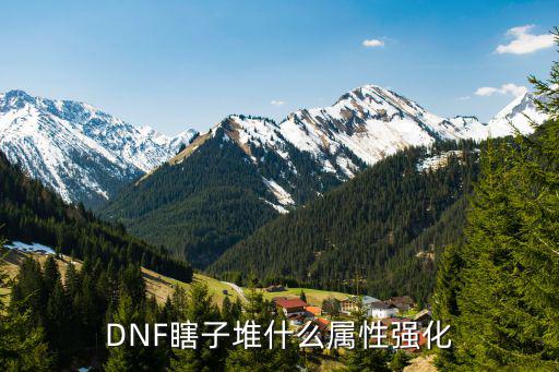 DNF瞎子堆什么属性强化