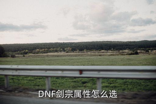 DNF剑宗属性怎么选