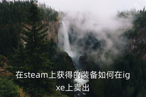 stme游戏装备哪里卖，在steam上获得的装备如何在igxe上卖出