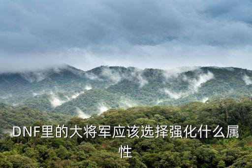 dnf将军堆什么属性，dnf大将军攻略说下他穿什么甲堆什么属性拿什么武器等仿具首饰等百