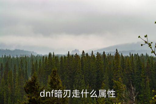 dnf暗刃走什么属性