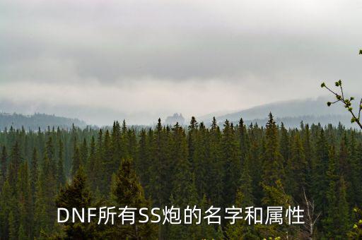 DNF所有SS炮的名字和属性