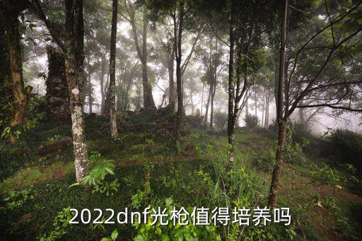 2022dnf光枪值得培养吗