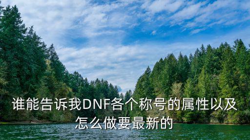 谁能告诉我DNF各个称号的属性以及怎么做要最新的