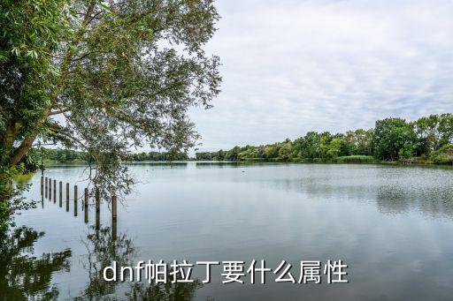 dnf帕拉丁要什么属性