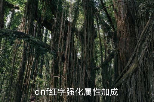 dnf红字属性提升什么，dnf红字强化属性加成