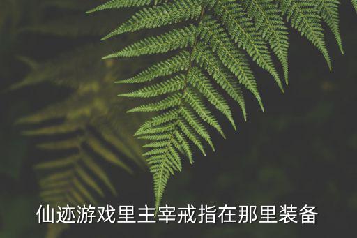 仙迹游戏装备在哪里能看到，仙迹游戏里主宰戒指在那里装备