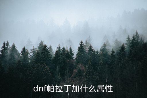 dnf帕拉丁加什么属性