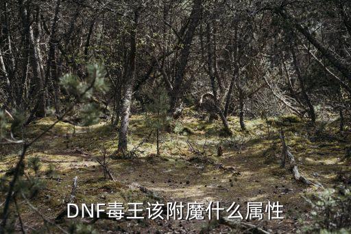 DNF毒王该附魔什么属性