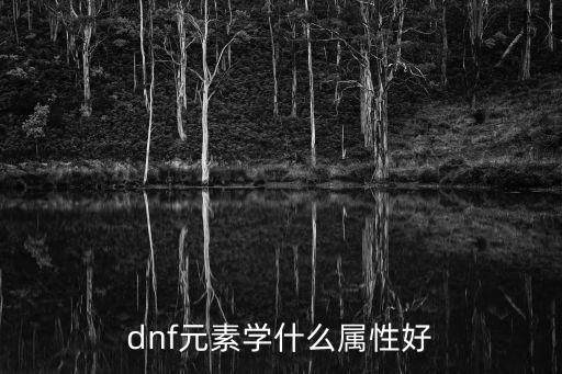 dnf元素学什么属性好