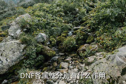 dnf属性各种什么效果，DNF各种属性对应效果是什么