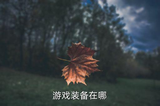 游戏装备哪里出的，游戏装备在哪