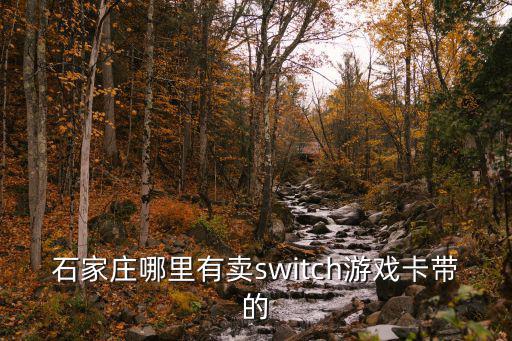 石家庄哪里有卖switch游戏卡带的