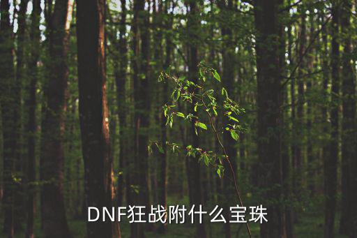 DNF狂战附什么宝珠