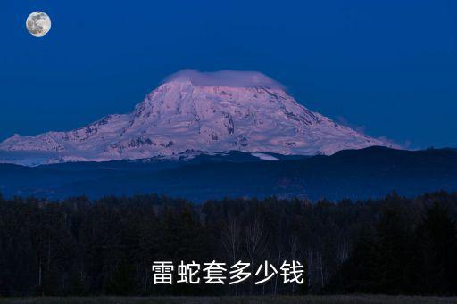 雷蛇套多少钱