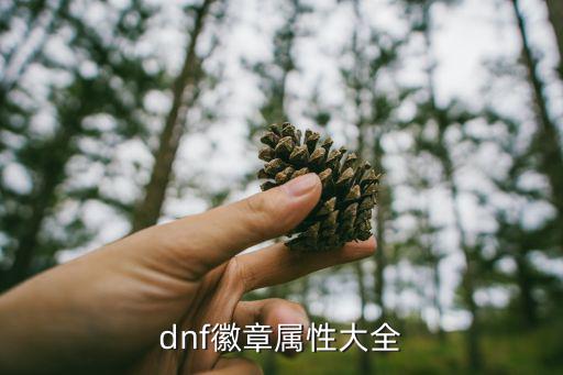 dnf徽章什么属性重要，dnf徽章属性大全