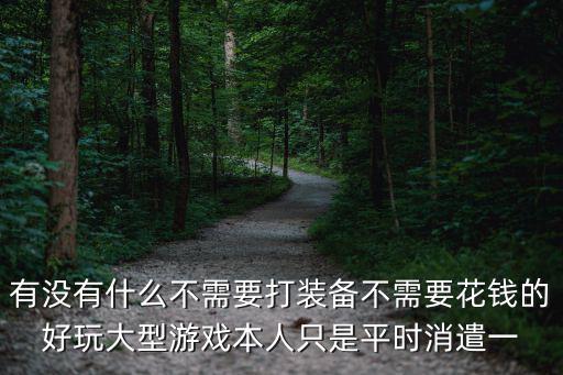 有没有什么不需要打装备不需要花钱的好玩大型游戏本人只是平时消遣一