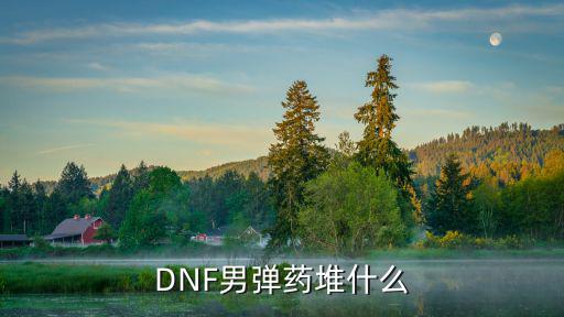 dnf弹药叠什么属性，DNF女弹药怎么堆属性