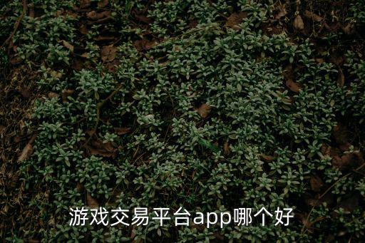 游戏交易平台app哪个好