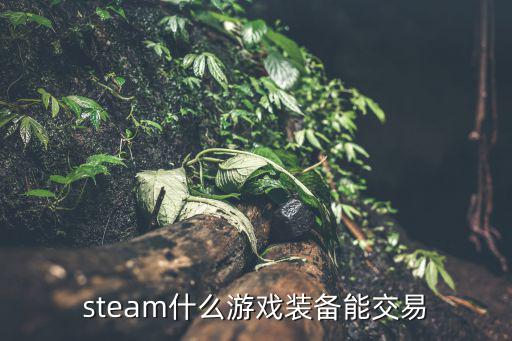 steam什么游戏装备能交易