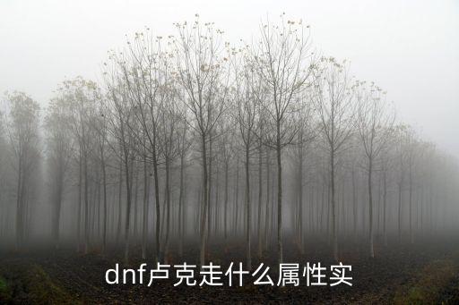 dnf卢克走什么属性实