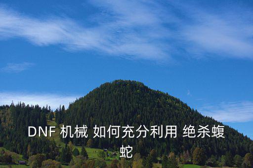 dnf绝杀炮什么属性，DNF 机械 如何充分利用 绝杀蝮蛇