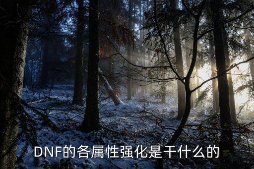 dnf起源什么属性强化，dnf属性强化