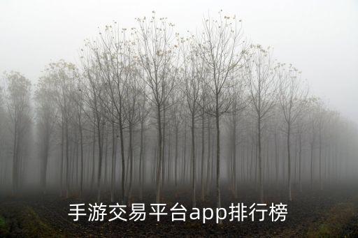 哪里卖游戏装备app，游戏交易平台app哪个好