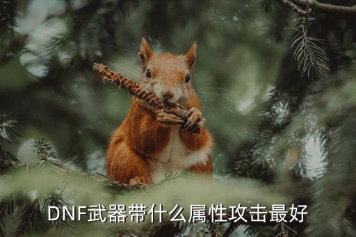 dnf带什么武器属性，DNF里剑魂要带什么属性的武器好还有穿什么装备都附魔什么