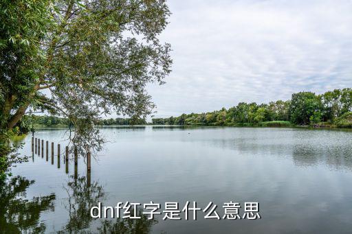 dnf红字是什么意思