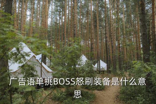 游戏装备有哪些广告语，广告语单挑BOSS怒刷装备是什么意思