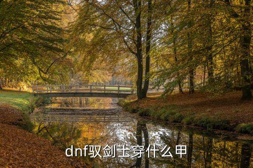 dnf 驭剑士 什么属性，dnf中驭剑士首饰附魔什么属性