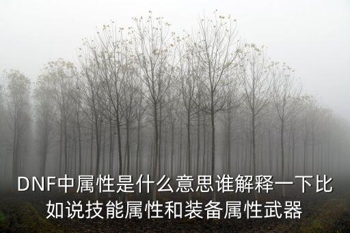 DNF中属性是什么意思谁解释一下比如说技能属性和装备属性武器