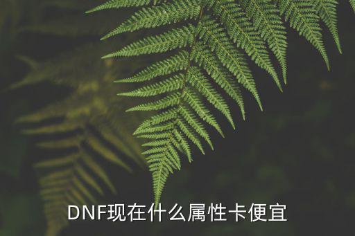 DNF现在什么属性卡便宜