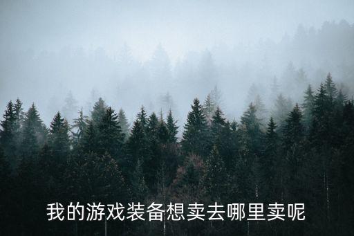 我的游戏装备想卖去哪里卖呢