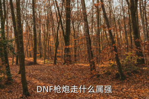 DNF枪炮走什么属强