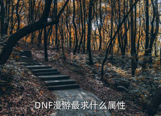 DNF漫游最求什么属性