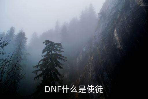 DNF什么是使徒