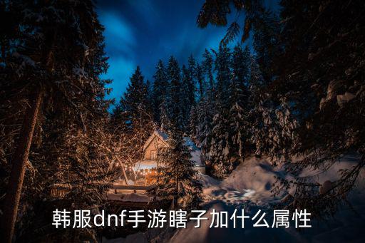 韩服dnf手游瞎子加什么属性