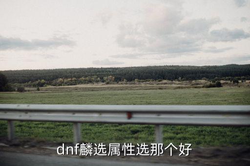 dnf麟选属性选那个好