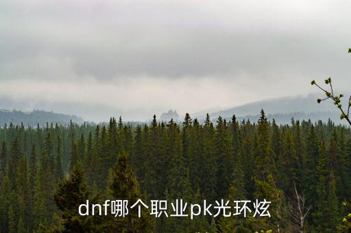 dnf哪个职业pk光环炫