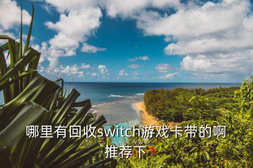 哪里有回收switch游戏卡带的啊推荐下