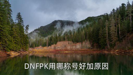 DNFPK用哪称号好加原因