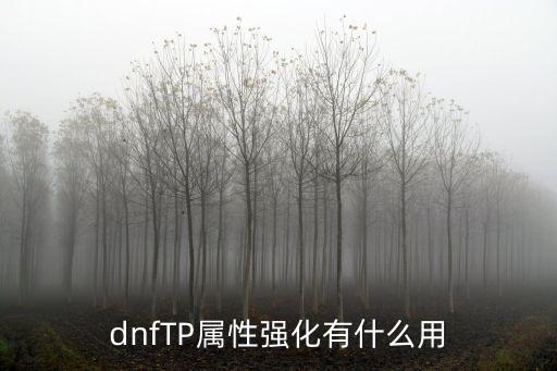 dnfTP属性强化有什么用